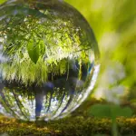 Il nostro pianeta è a rischio: quali azioni attuare per "curarlo"?