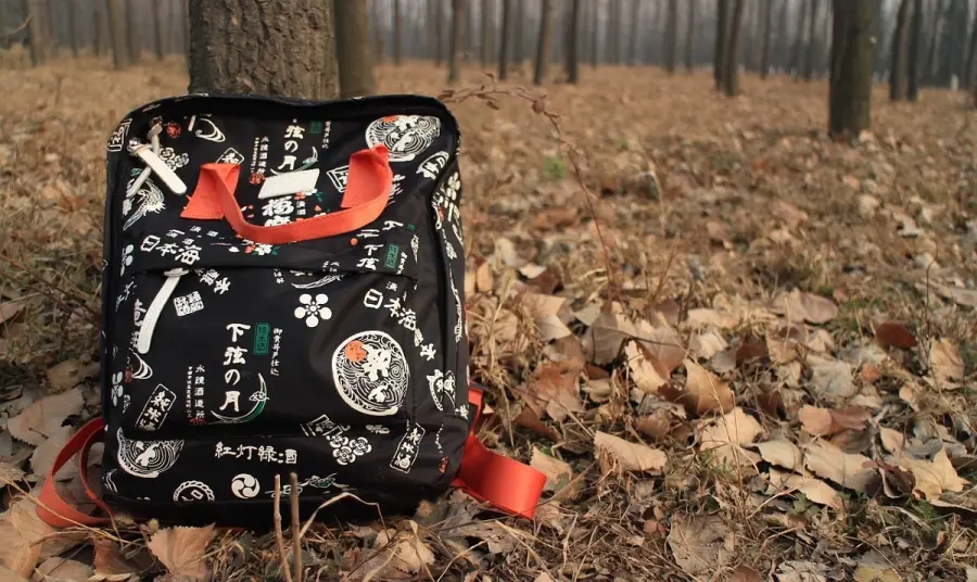 Come scegliere lo zaino per la scuola superiore?