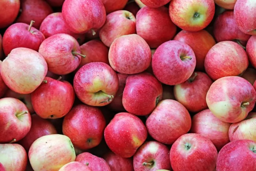 Mele, due al giorno riducono il rischio di infarto e ictus